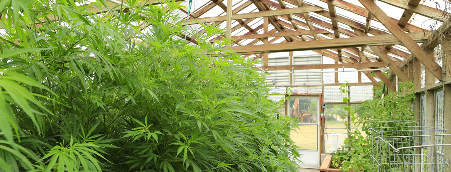 Security Solutions for Apartments in Cape Charles, VA